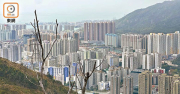 图片[1]-新界上車盤頻蝕讓 – 地產新聞-硕谷新闻聚合